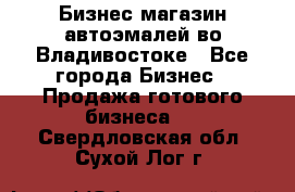 Бизнес магазин автоэмалей во Владивостоке - Все города Бизнес » Продажа готового бизнеса   . Свердловская обл.,Сухой Лог г.